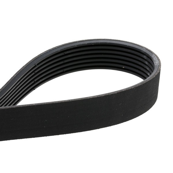 Correia dos conjuntos de transmissão, kit SKF VKMA36072