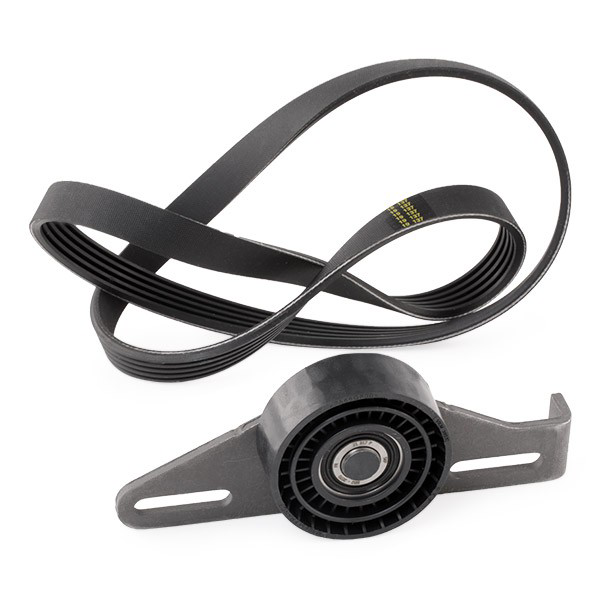 VKMA36091 SKF Correia dos conjuntos de transmissão, kit