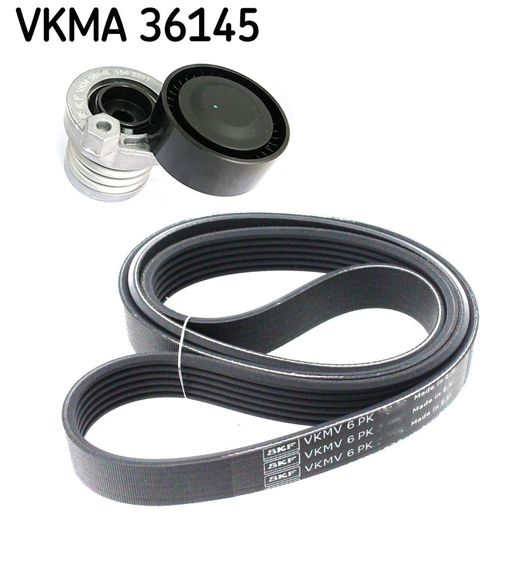 VKMA36145 SKF Correia dos conjuntos de transmissão, kit
