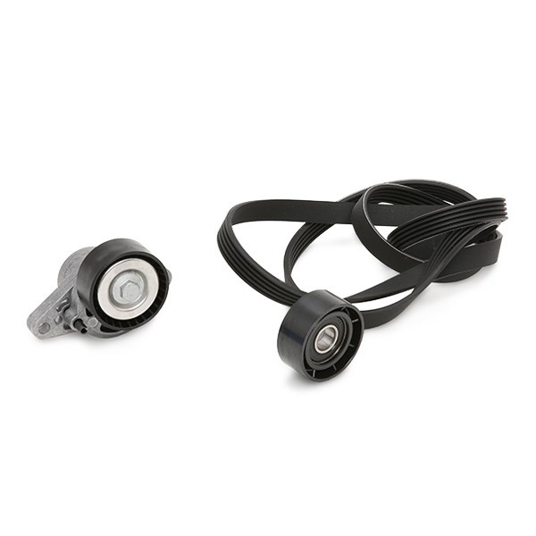 VKMA36200 SKF Correia dos conjuntos de transmissão, kit