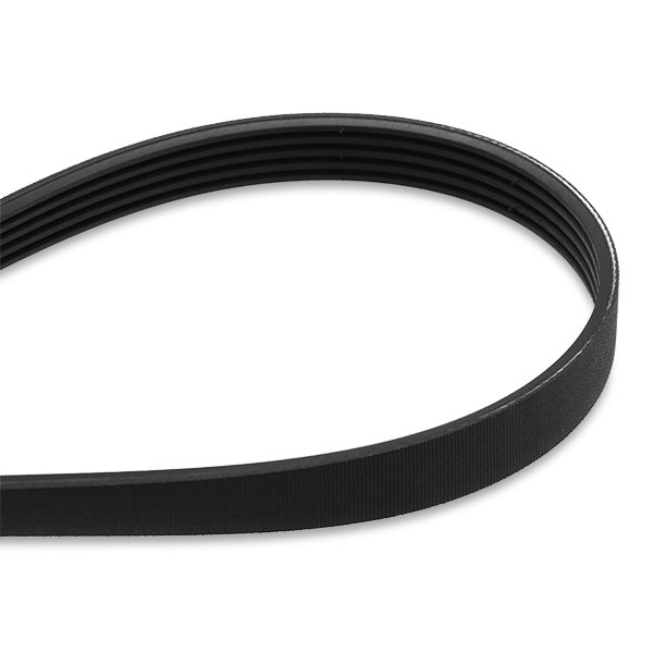 Correia dos conjuntos de transmissão, kit SKF VKMA36200 preço, a partir de 109,52 USD