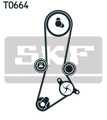 Correia do mecanismo de distribuição de gás, kit SKF VKMA94230 preço, a partir de 76,46 USD