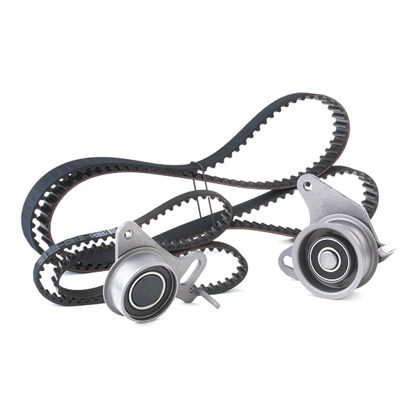 Correia do mecanismo de distribuição de gás, kit SKF VKMA95014