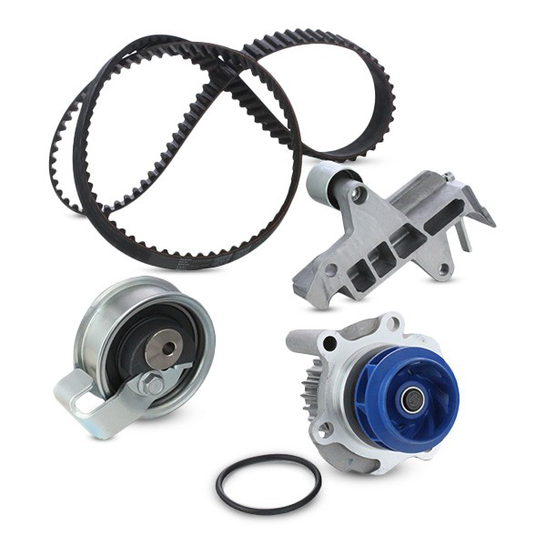 VKMC019181 SKF Correia do mecanismo de distribuição de gás, kit