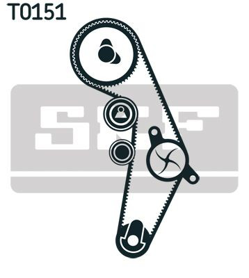 VKMC019181 SKF Correia do mecanismo de distribuição de gás, kit