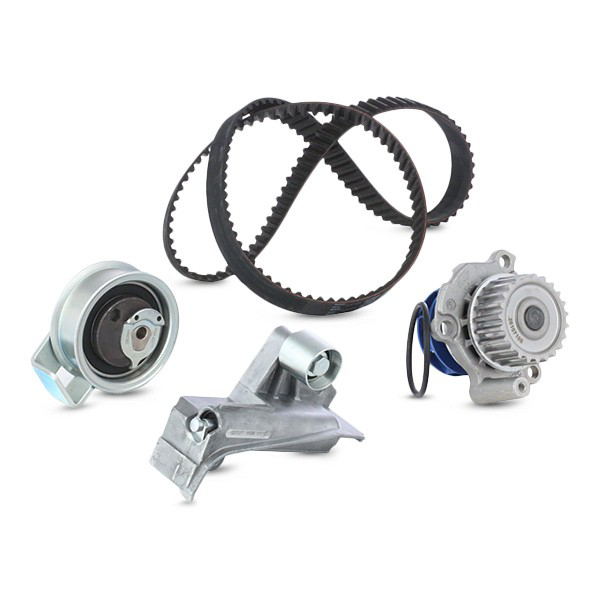 Compre VKMC019181 SKF Correia do mecanismo de distribuição de gás, kit