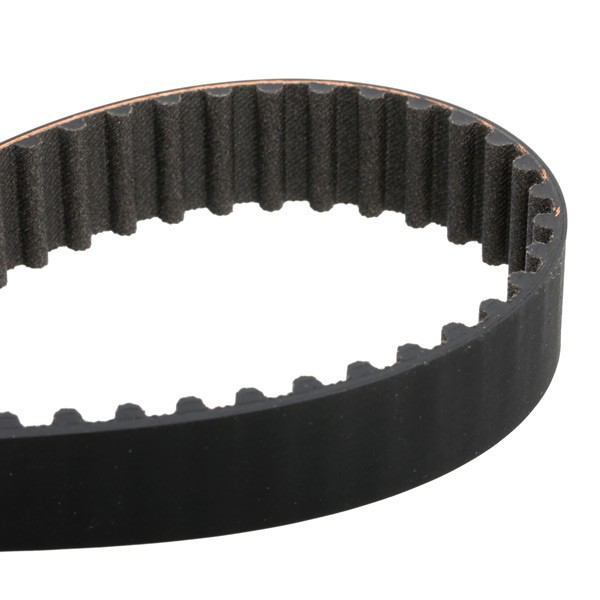 Compre VKMC032412 SKF Correia do mecanismo de distribuição de gás, kit