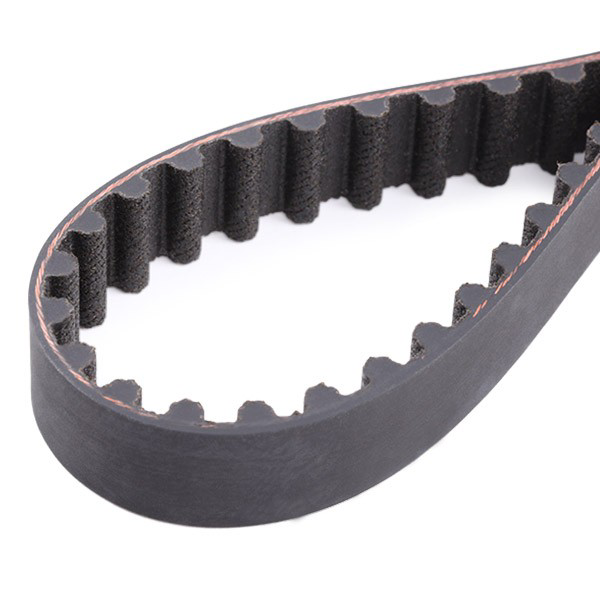 Compre VKMC03254 SKF Correia do mecanismo de distribuição de gás, kit