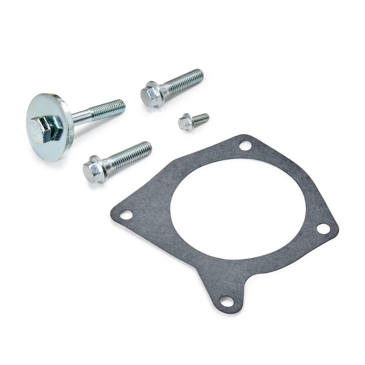 VKMC041073 SKF Correia do mecanismo de distribuição de gás, kit