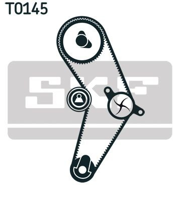 VKMC06003 SKF Correia do mecanismo de distribuição de gás, kit