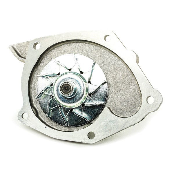 Compre VKMC06106 SKF Correia do mecanismo de distribuição de gás, kit