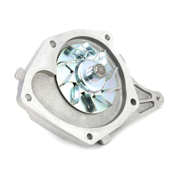VKMC061341 SKF Correia do mecanismo de distribuição de gás, kit