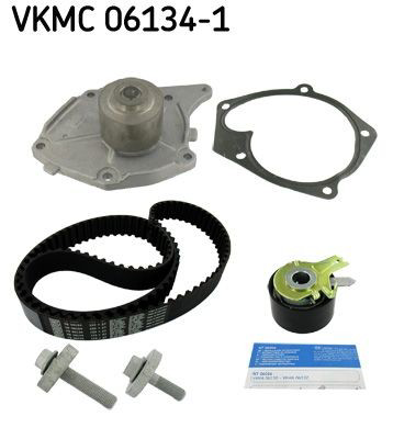 Compre VKMC061341 SKF Correia do mecanismo de distribuição de gás, kit