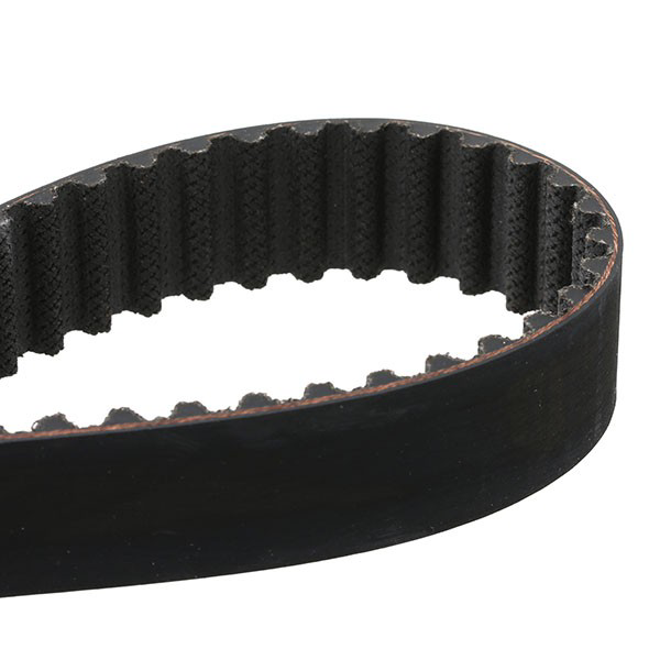 Correia do mecanismo de distribuição de gás, kit SKF VKMC061341