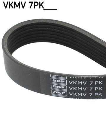 VKMV7PK1569 SKF Correia dos conjuntos de transmissão