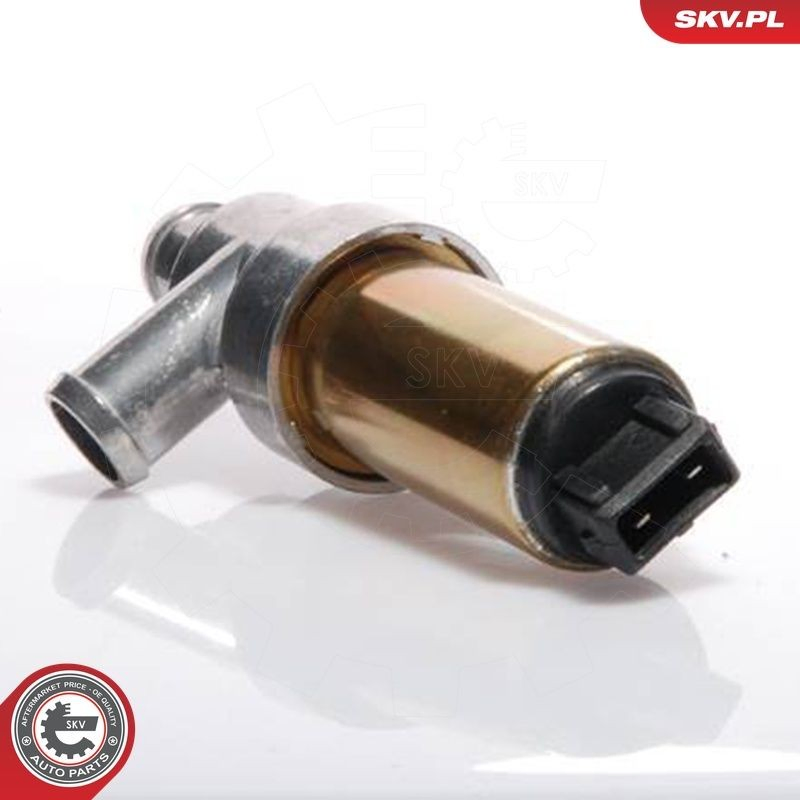 Compre Válvula (regulador) de marcha a vácuo Volkswagen Passat 