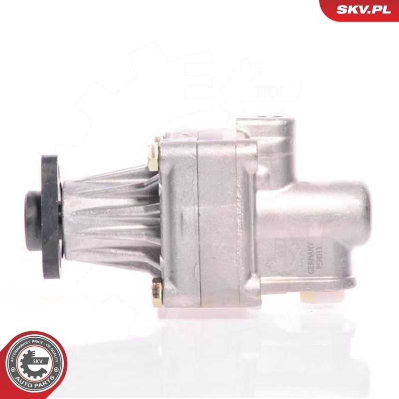10SKV011 SKV