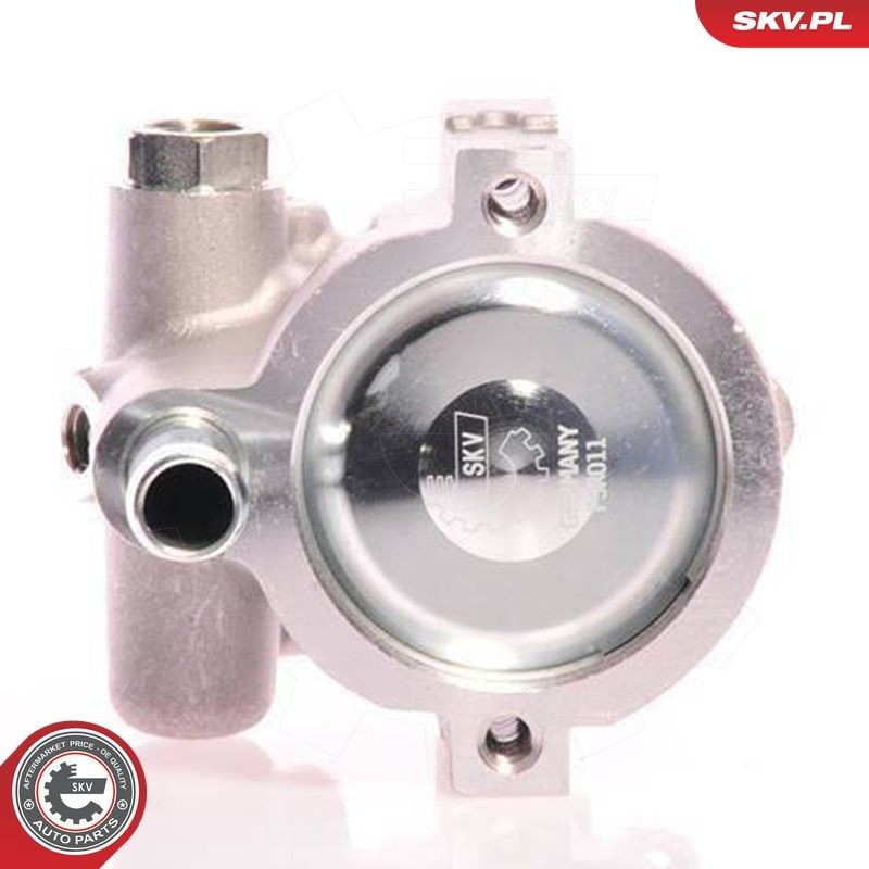 10SKV021 SKV
