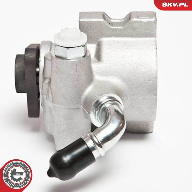 10SKV041 SKV