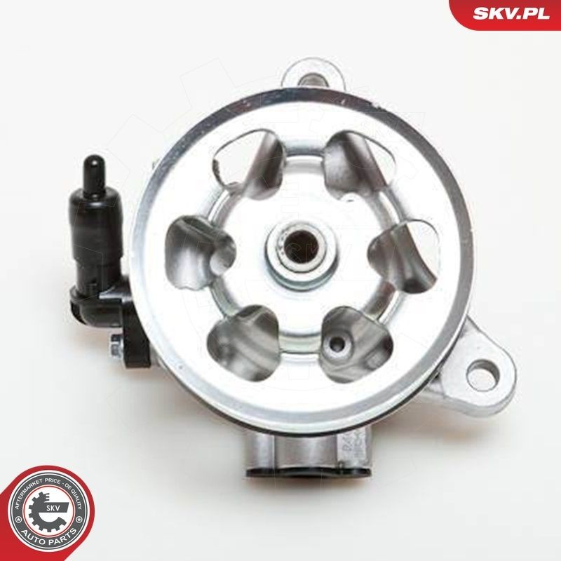 Compre 10SKV076 SKV Bomba da Direção hidrâulica assistida