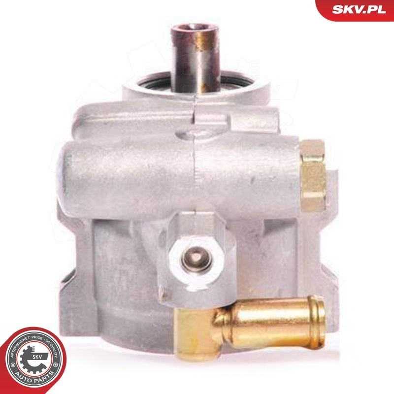 10SKV126 SKV