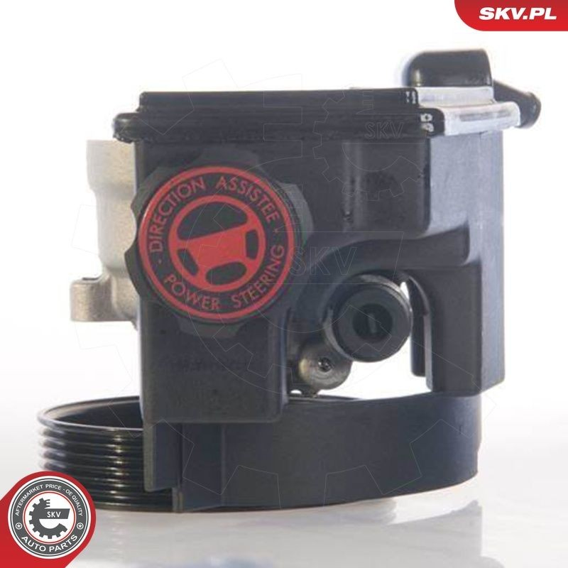 10SKV171 SKV
