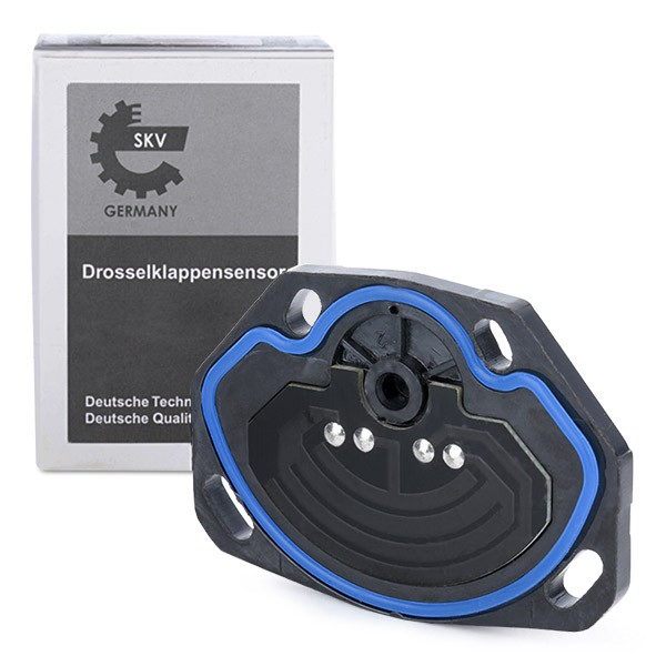 17SKV002 SKV