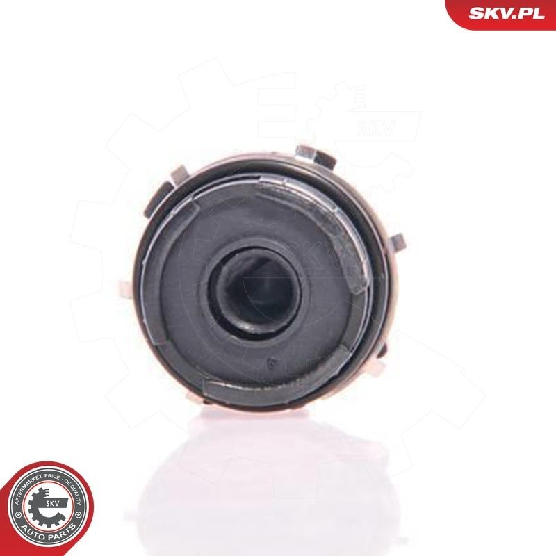 17SKV013 SKV