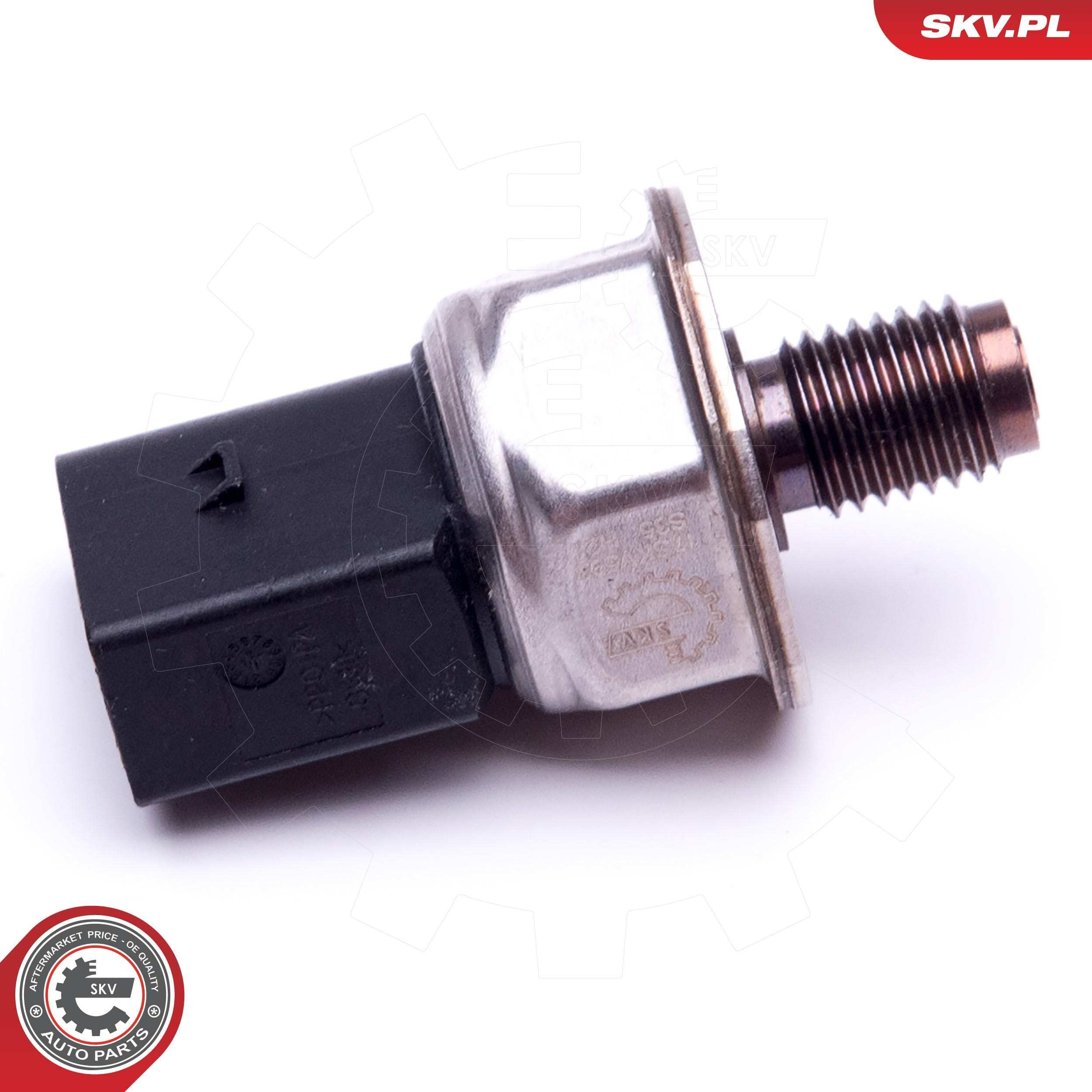  SKV 17SKV593