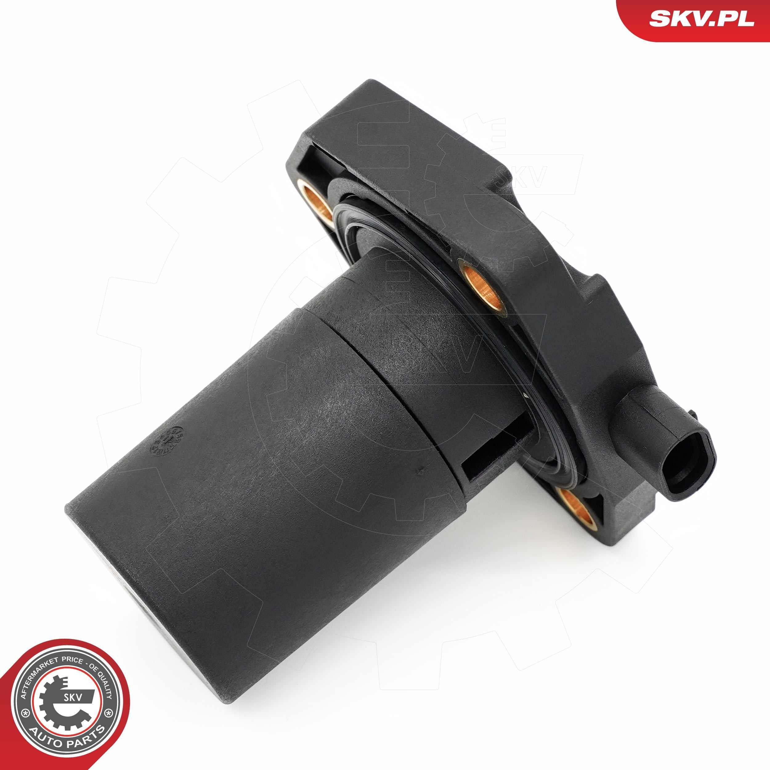 17SKV930 SKV