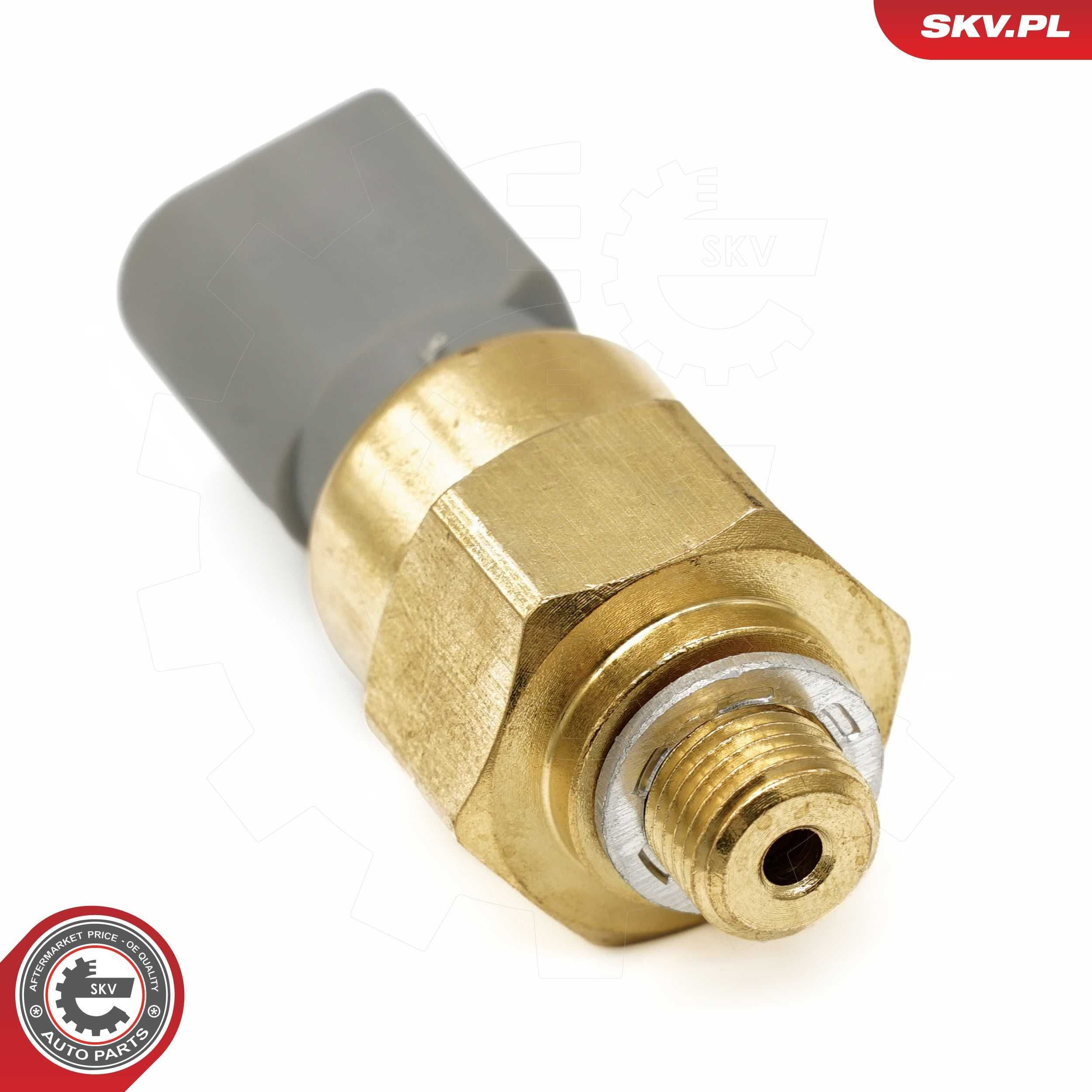 17SKV974 SKV