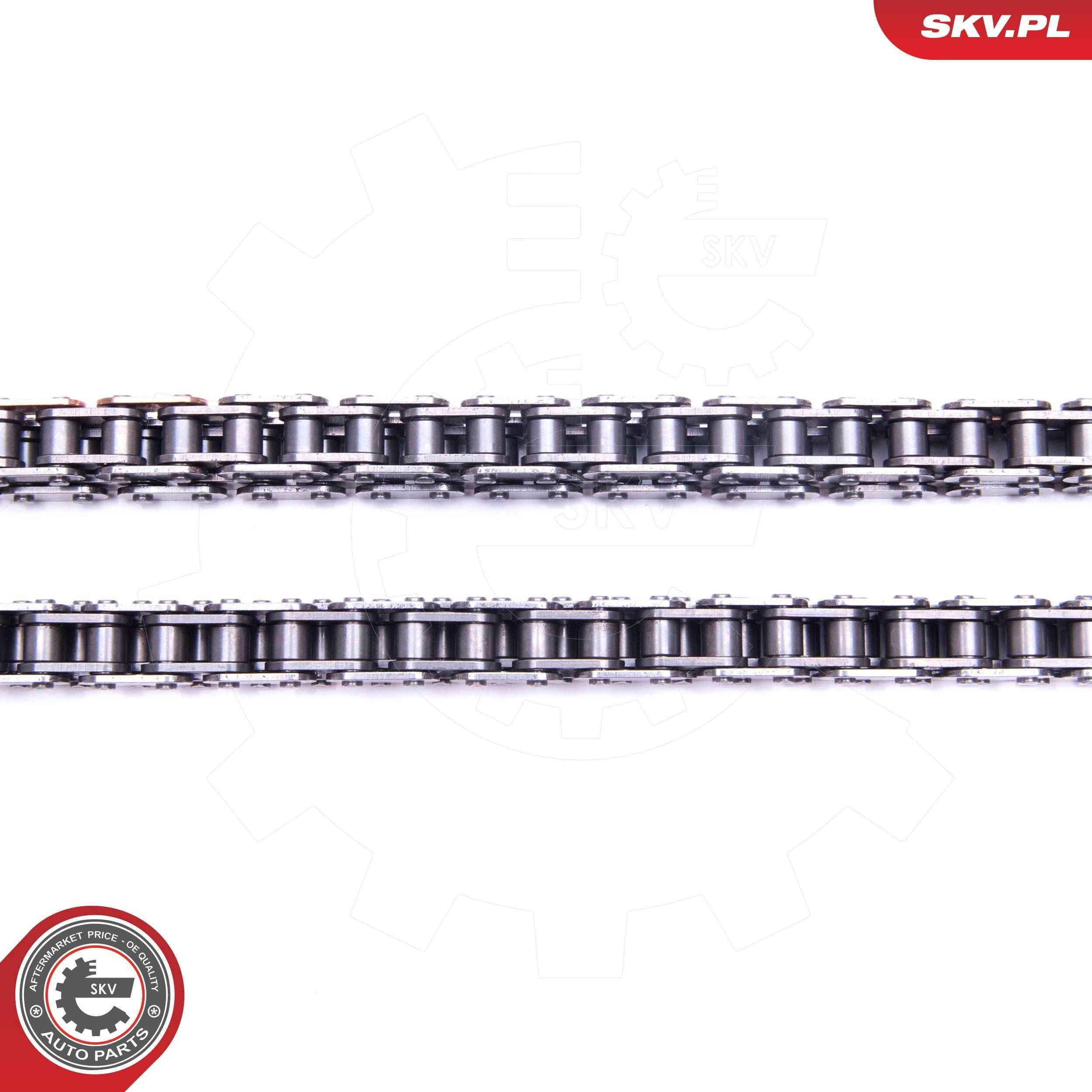 Compre 21SKV192 SKV Cadeia superior do mecanismo de distribuição de gás