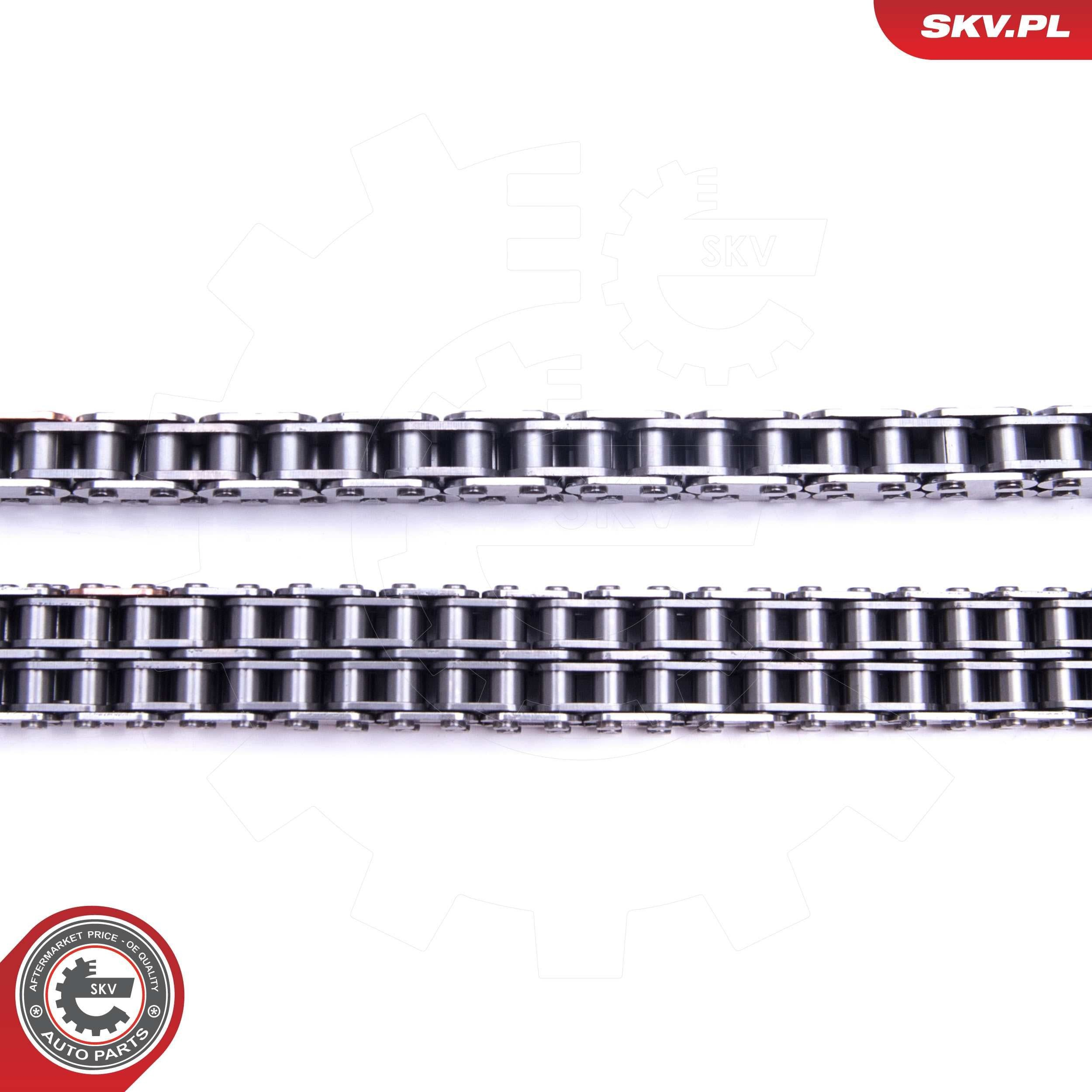 21SKV203 SKV
