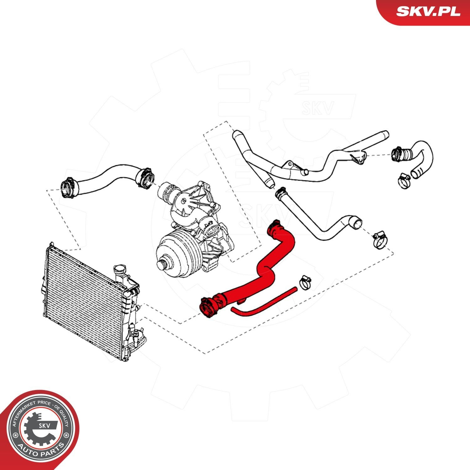 24SKV373 SKV
