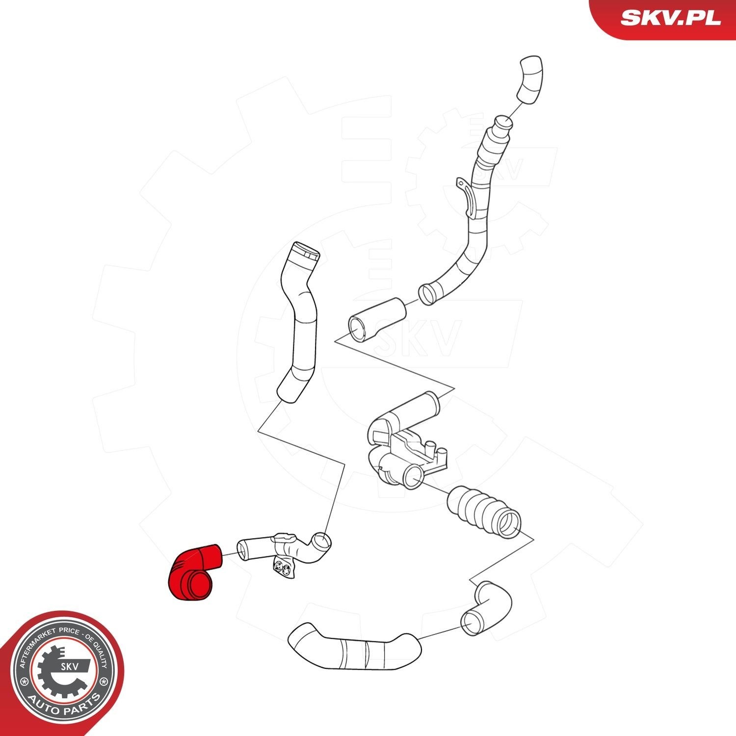 24SKV747 SKV