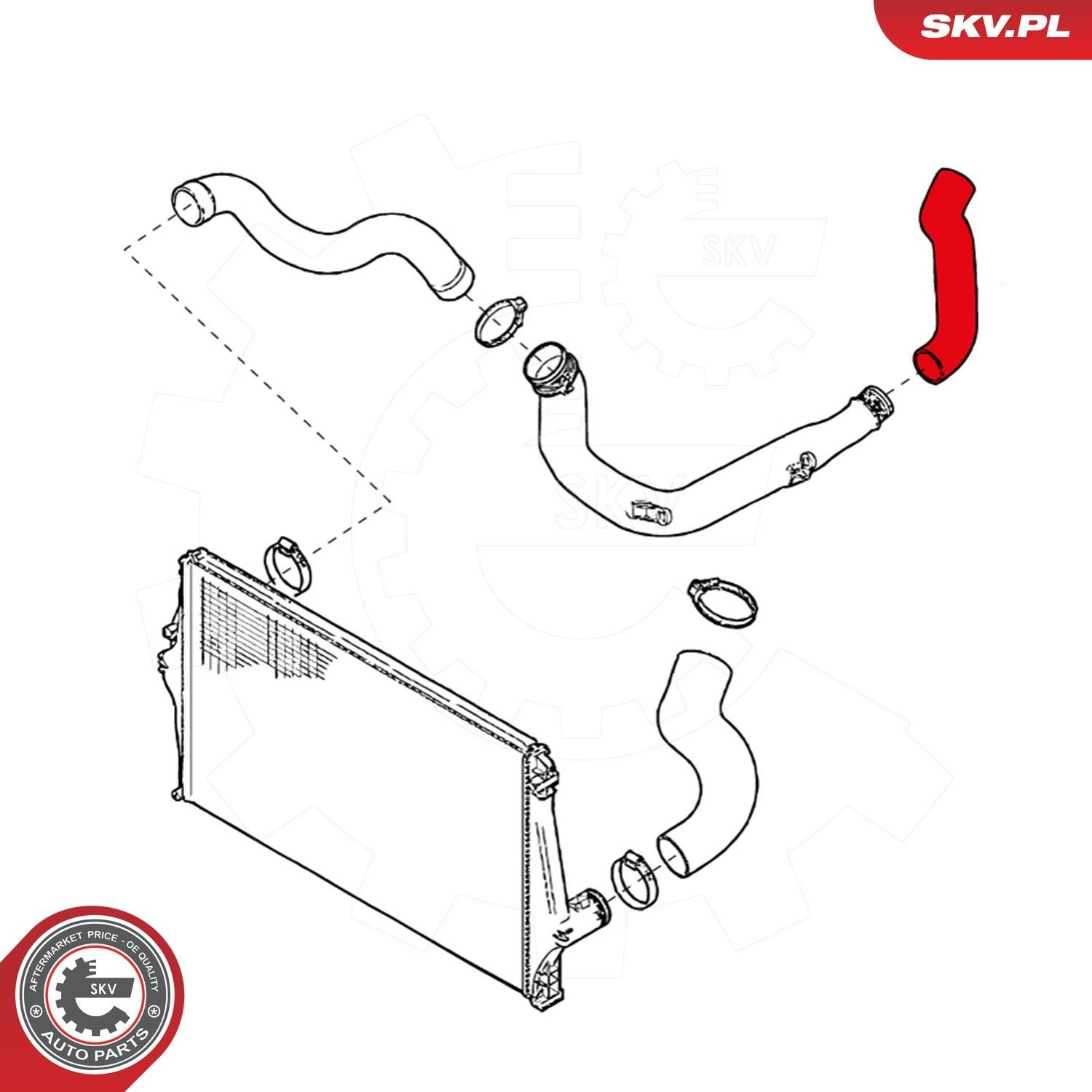 24SKV894 SKV