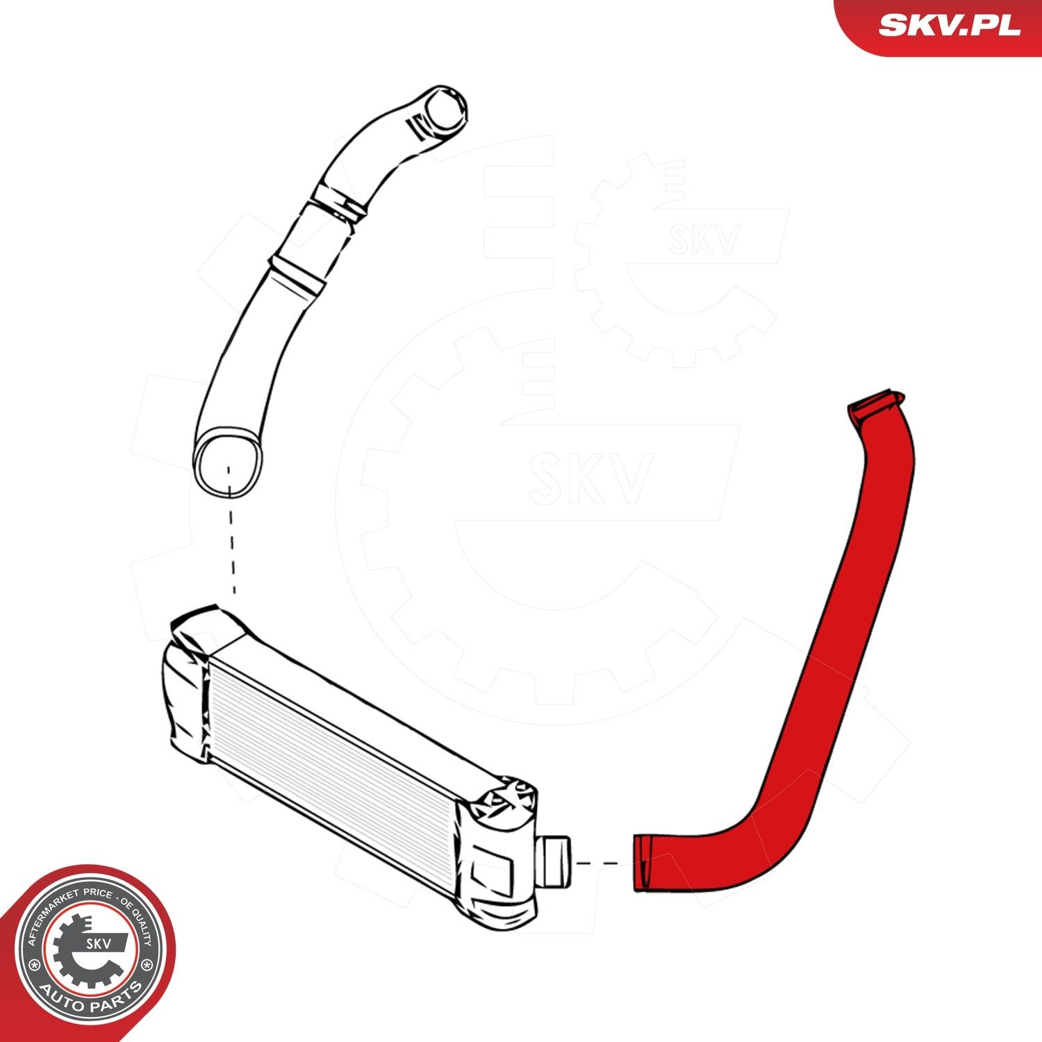 24SKV905 SKV