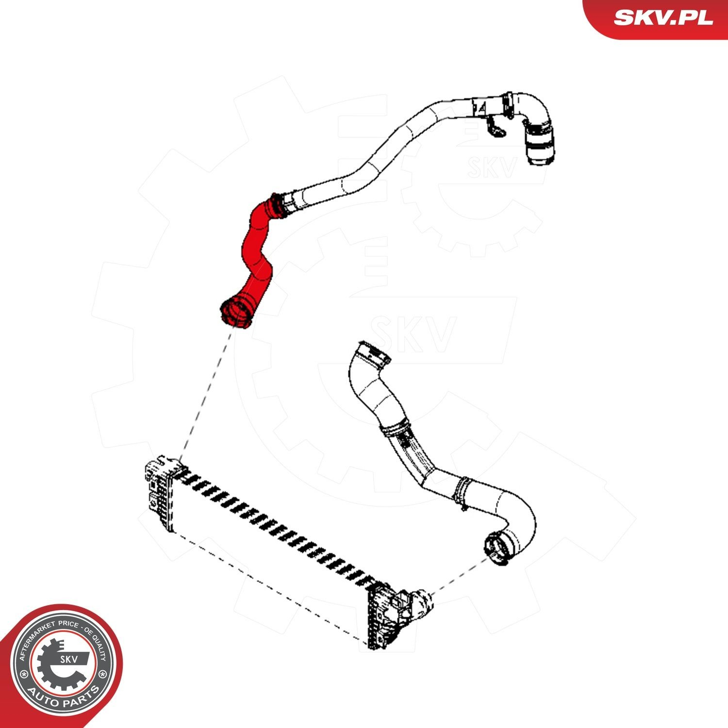 Mangueira (cano derivado) de intercooler 24SKV920 SKV