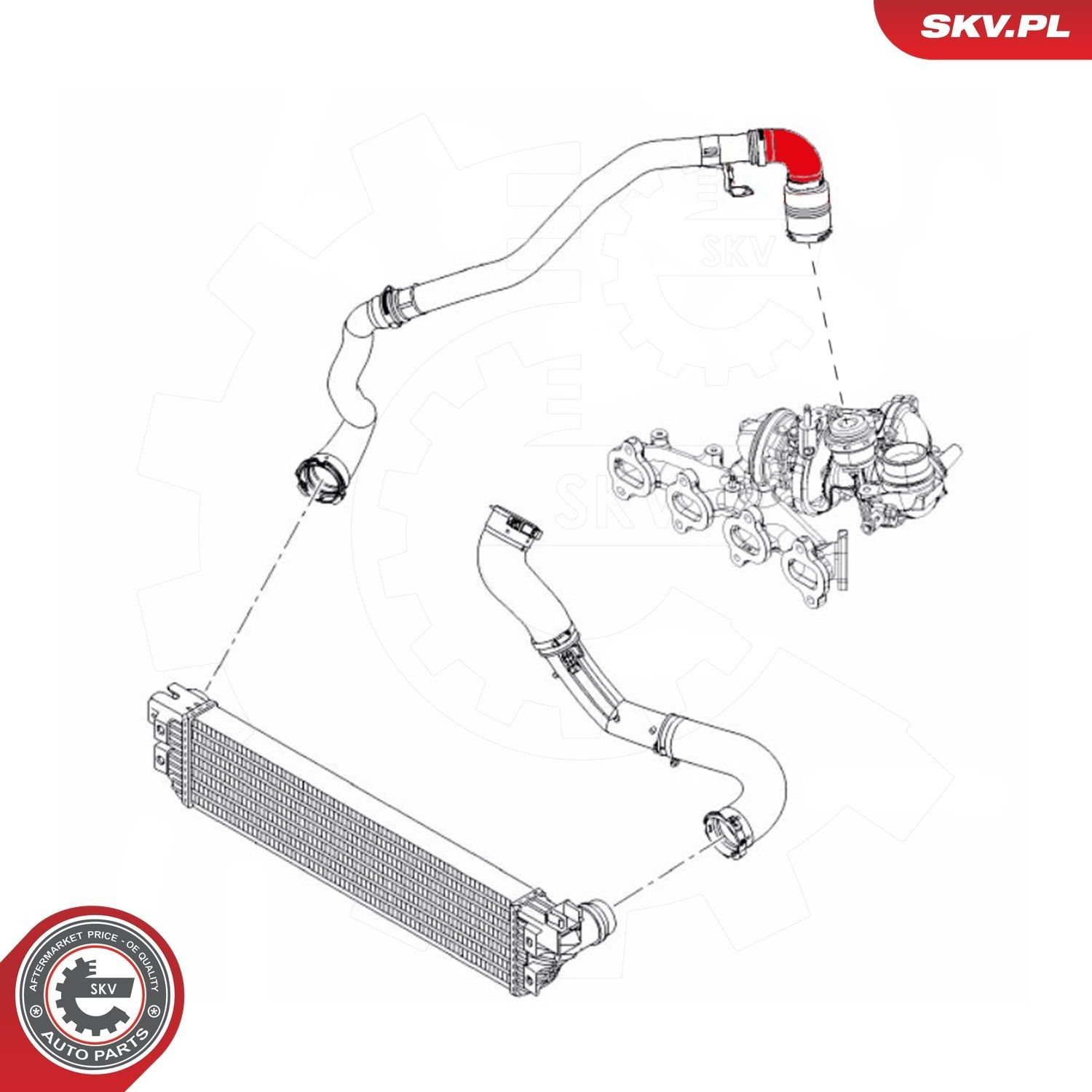  SKV 24SKV965