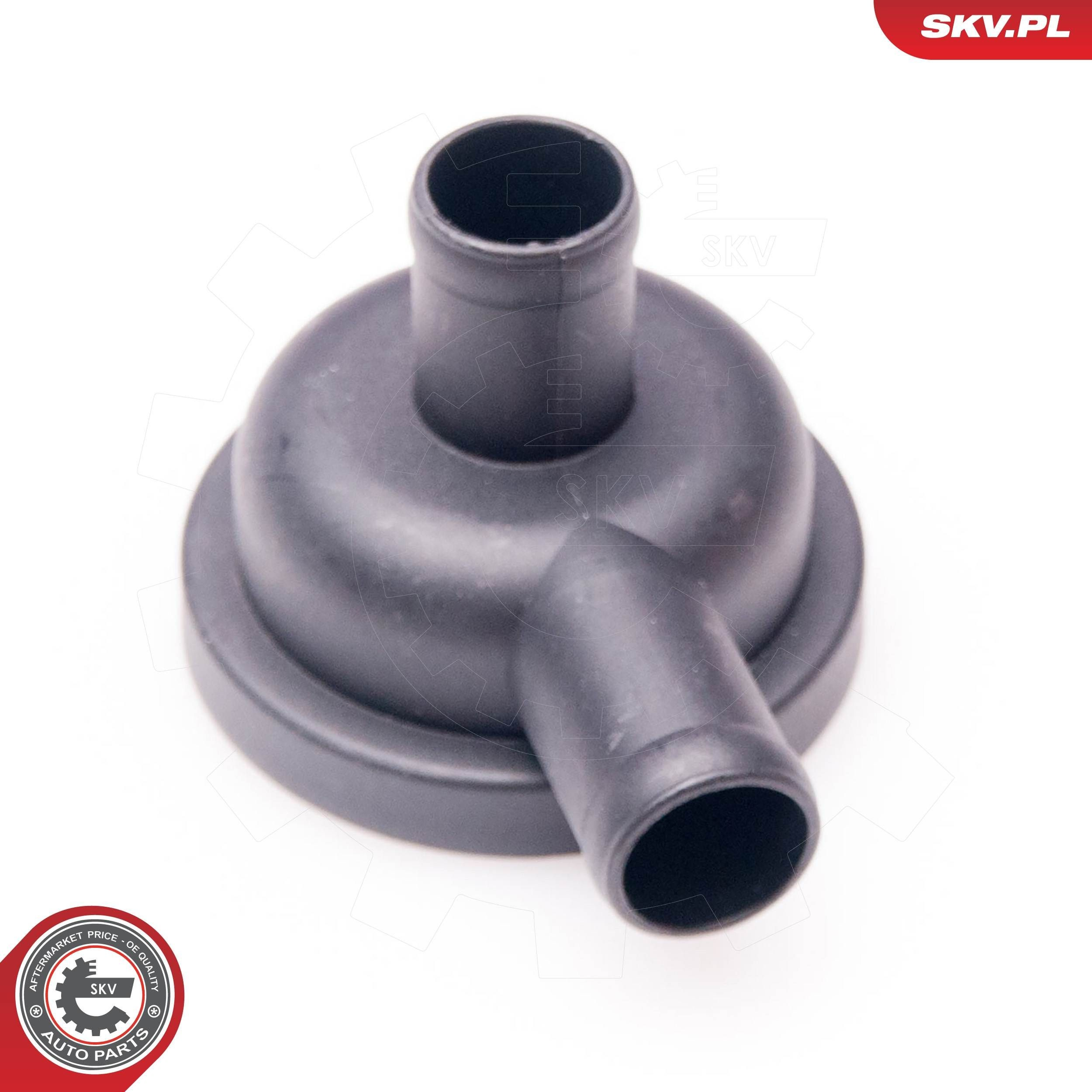 31SKV010 SKV