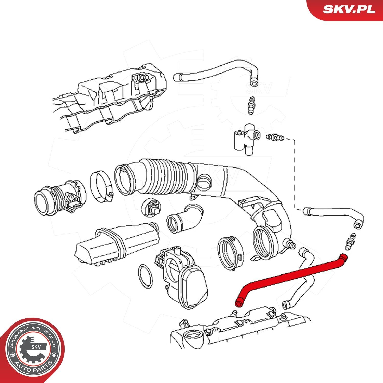 31SKV119 SKV