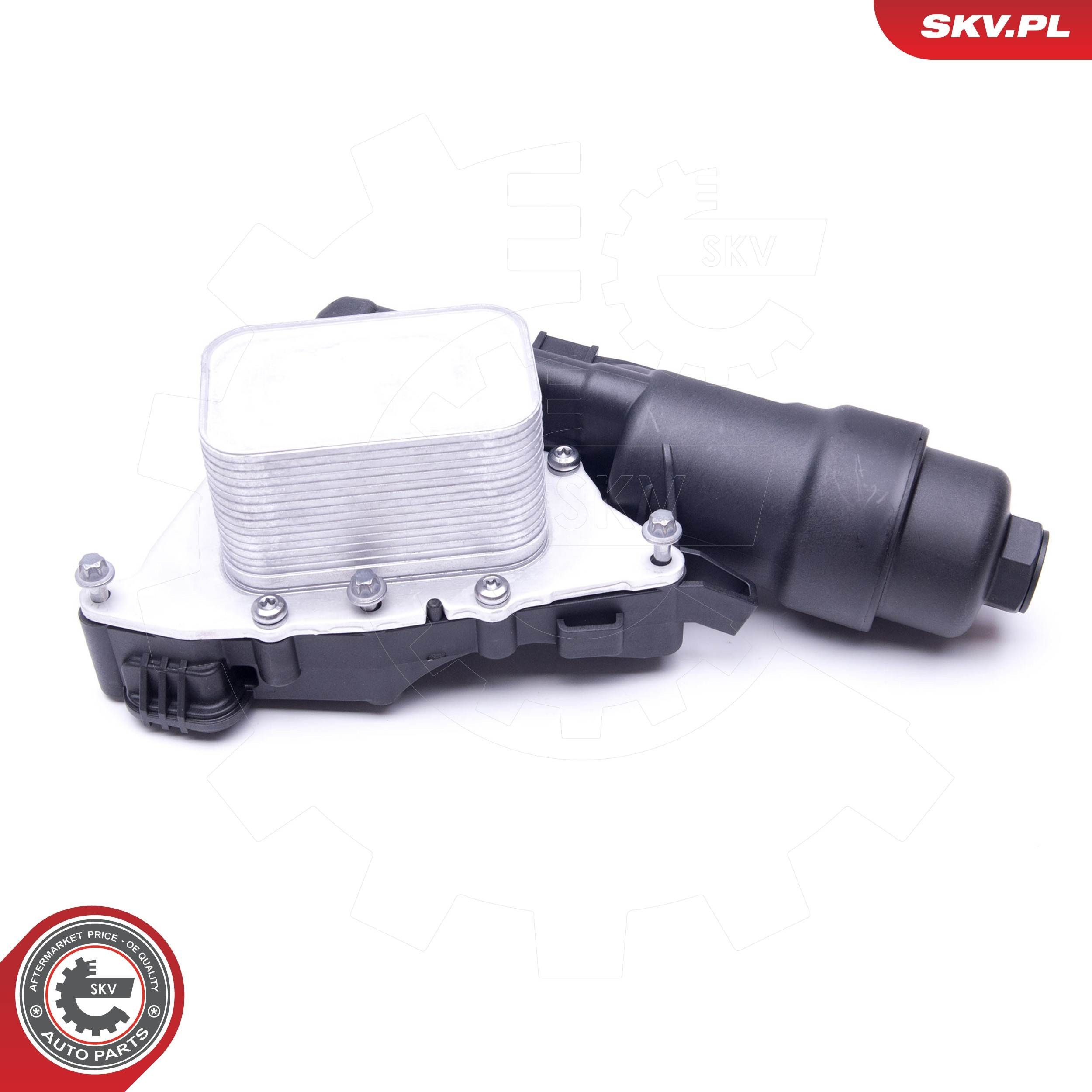 31SKV165 SKV