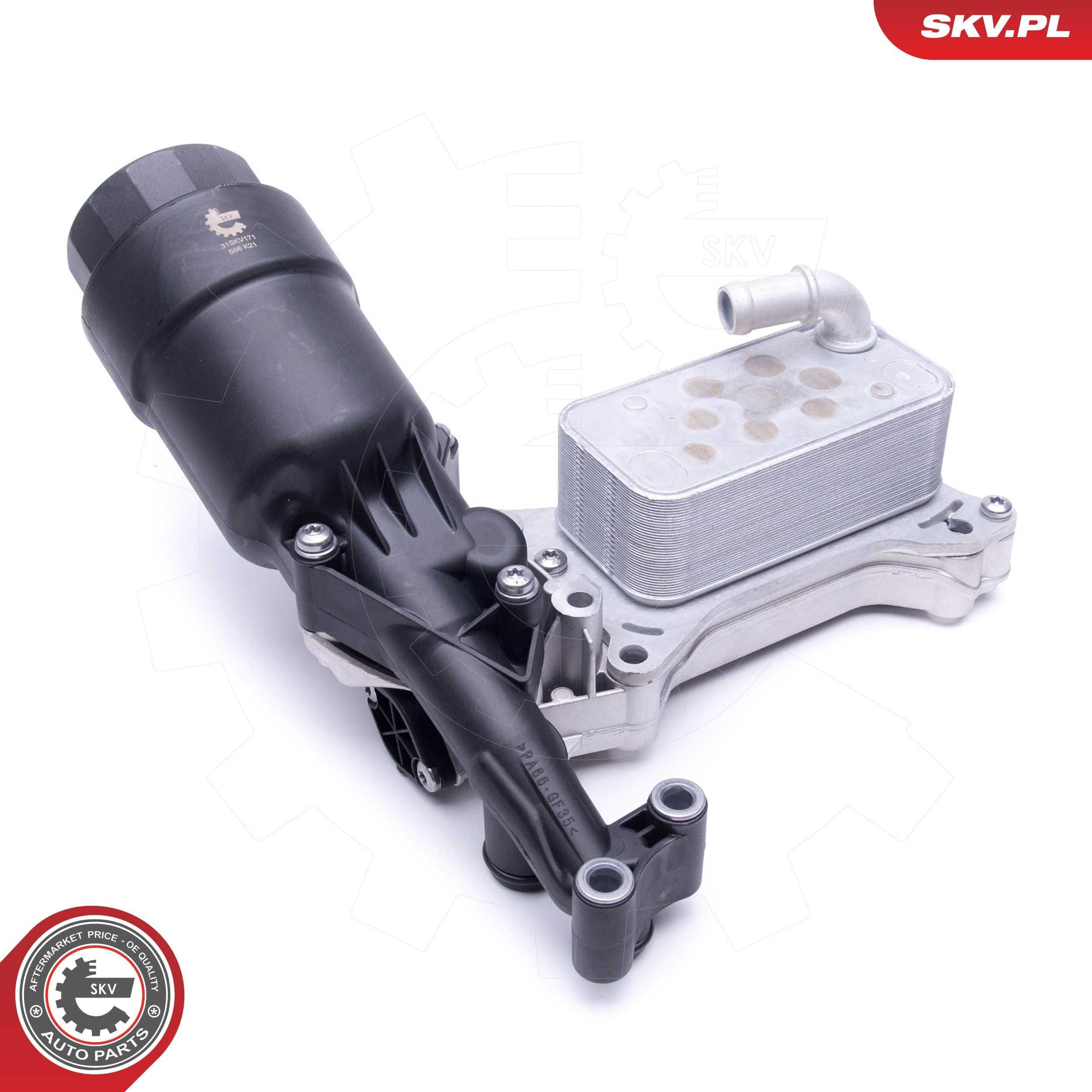 31SKV171 SKV