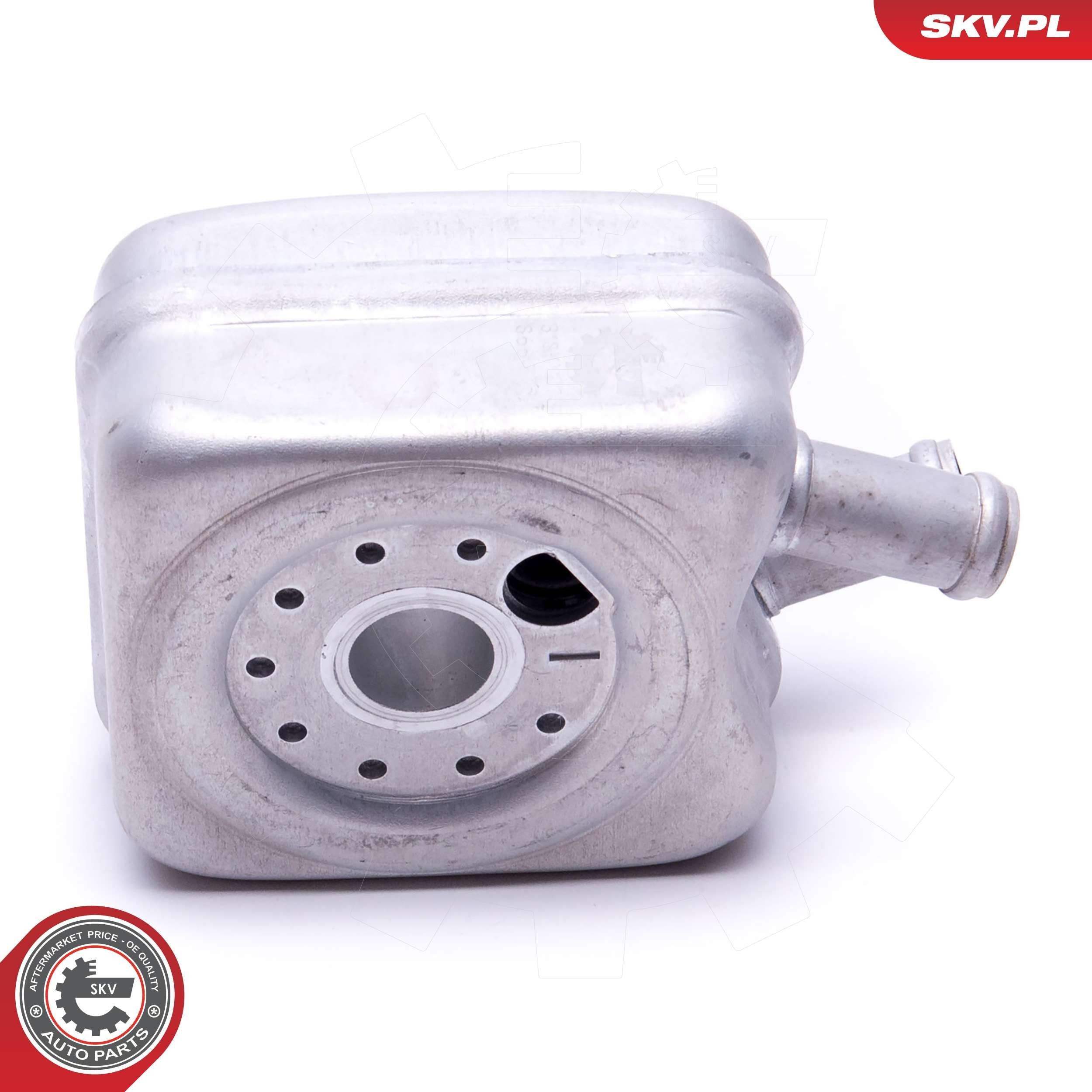 31SKV203 SKV