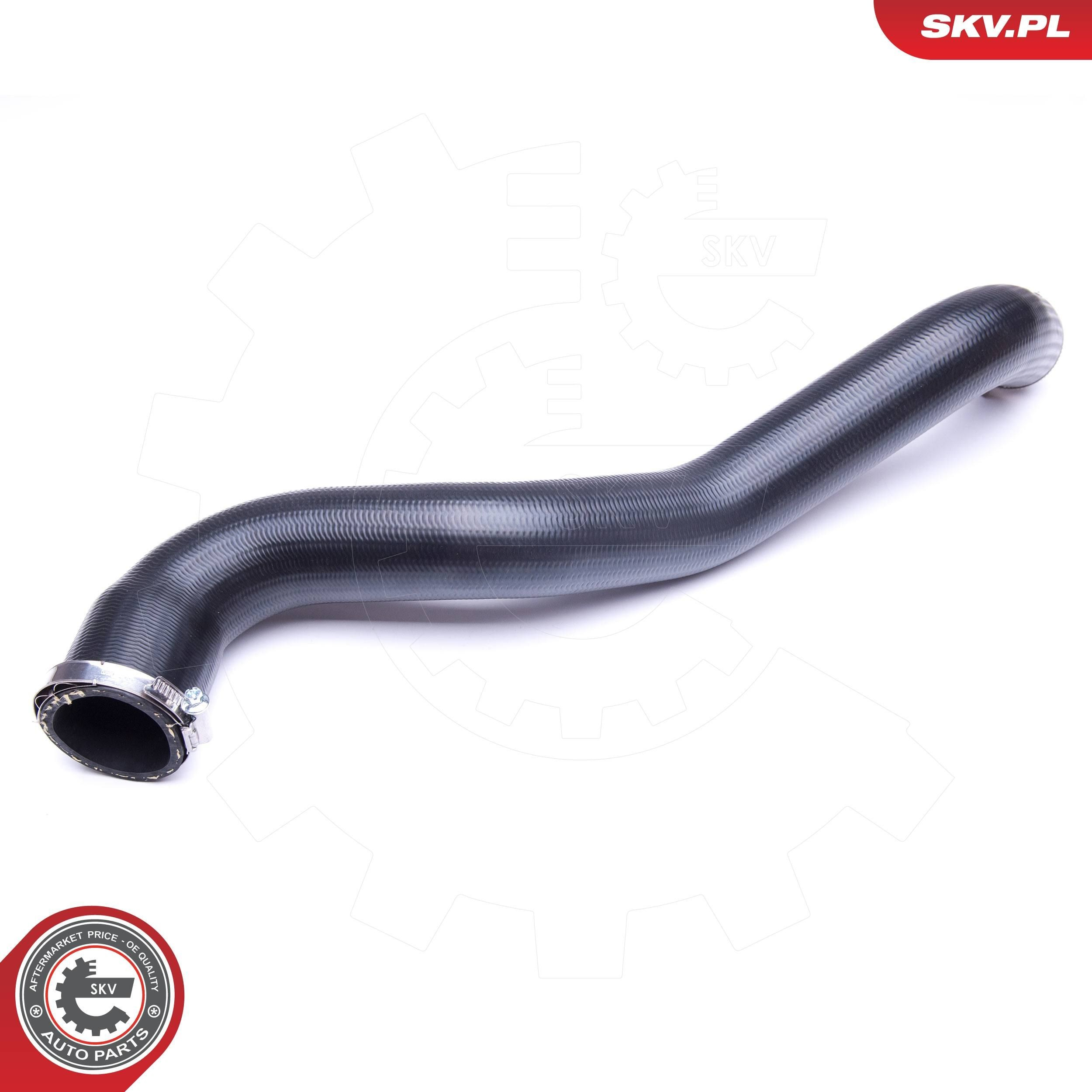 43SKV041 SKV