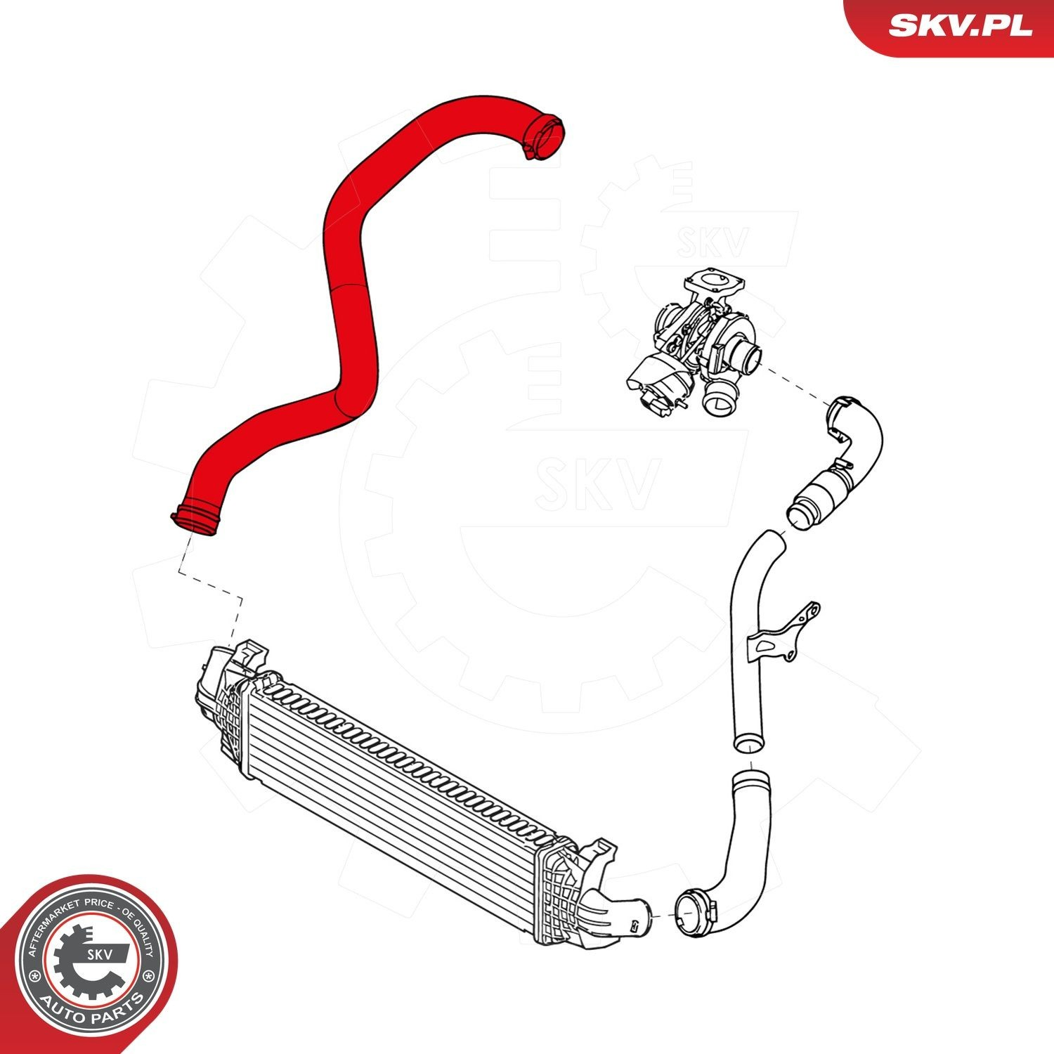 43SKV051 SKV
