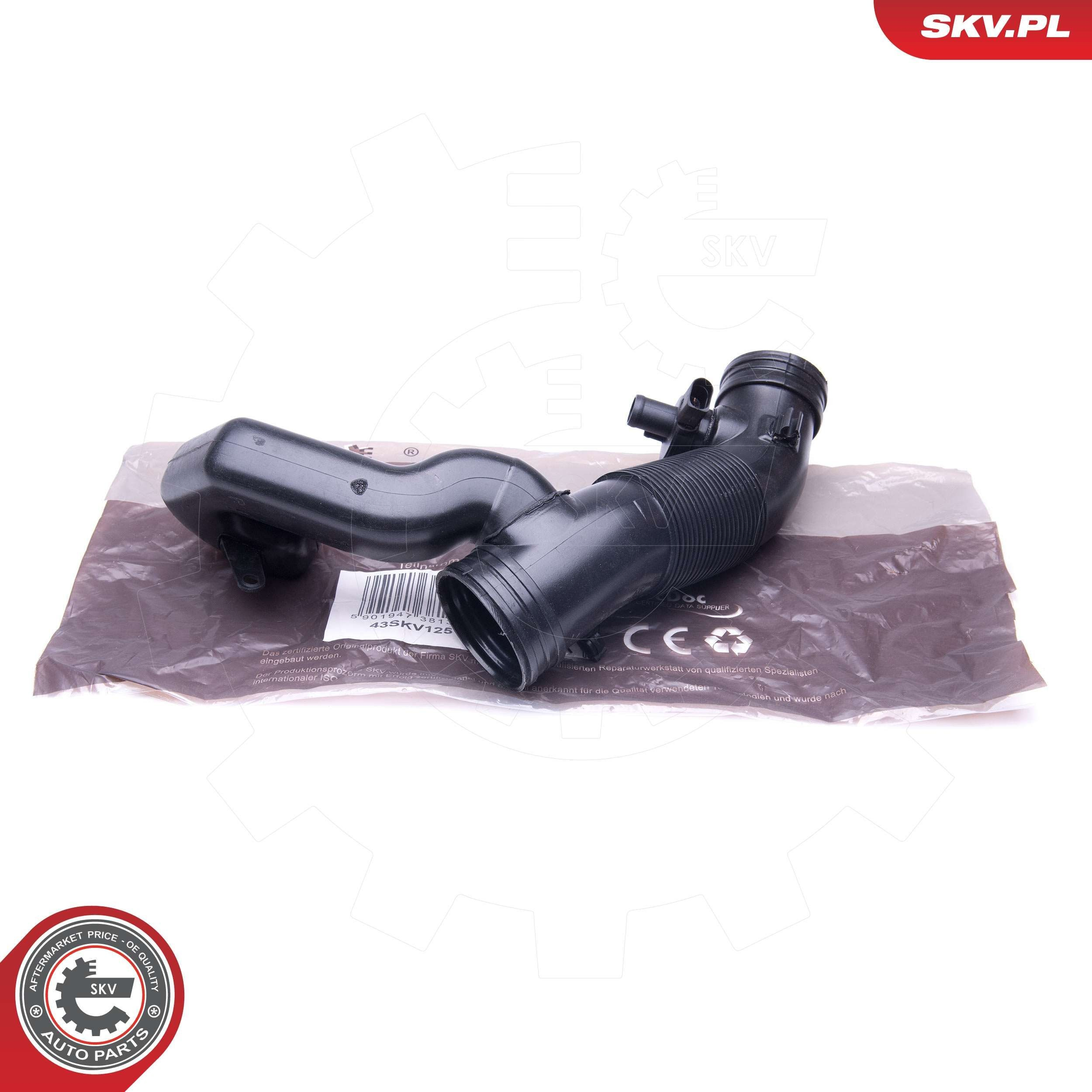 Cano derivado de ar do medidor de consumo do ar SKV 43SKV125 preço, a partir de 37,35 USD
