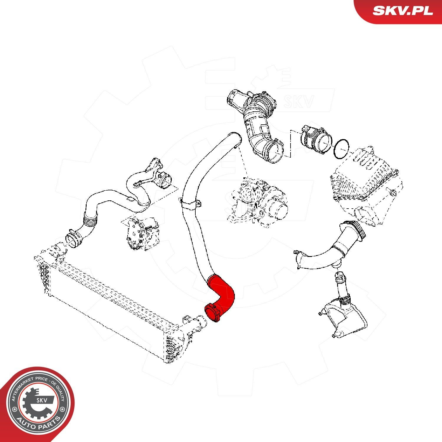 43SKV138 SKV