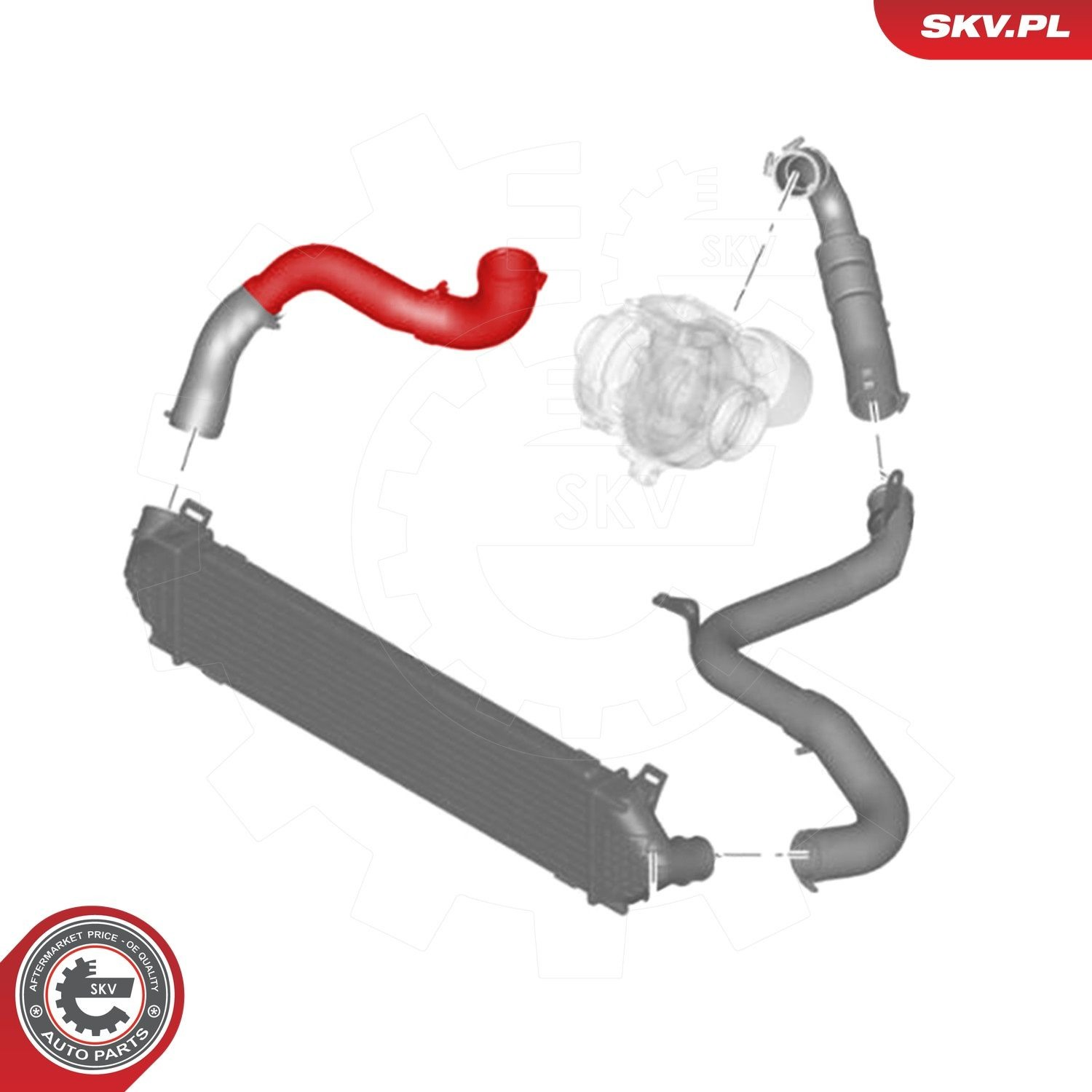 43SKV157 SKV