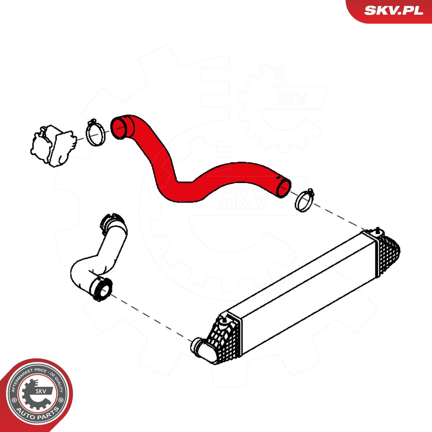43SKV172 SKV